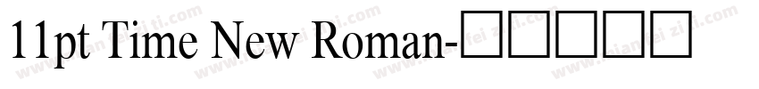 11pt Time New Roman字体转换